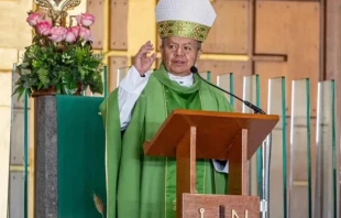 The Diocese of Tehuacán, located in the Mexican state of Puebla, reported that Bishop Gonzalo Alonso Calzada Guerrero was driving on a highway when he was “assaulted and his vehicle and personal belongings were stolen.”  Credit: Diocese of Tehuacán