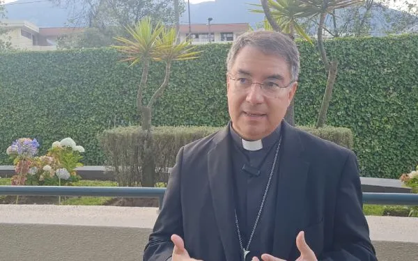 Bishop Óscar Cantú in an interview with ACI Prensa, CNA’s Spanish-language news partner, on Sept. 8, 2024. Credit: Diego López Marina/EWTN News