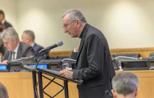 “Approximately 1 in 7 Christians [more than 365 million people] are subject to significant levels of persecution on the basis of religious beliefs. The number of attacks against Christian churches and property increased significantly in 2023, with more Christians than ever suffering violent attacks,” said Vatican Secretary of State Cardinal Pietro Parolin during his Sept. 28, 2024 address to the United Nations General Assembly. Credit: The Official CTBTO Photostream (2019 Comprehensive Nuclear-Test-Ban Treaty Article XIV Conference)/ ]Wikimedia Commons