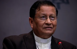 Cardinal Charles Bo speaks with journalists at a Synod on Synodality press briefing on Oct. 17, 2024. Credit: Daniel Ibañez/CNA