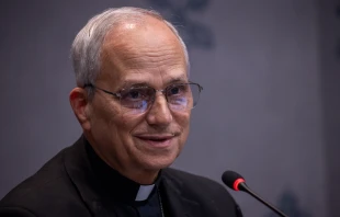 Cardinal Robert Prevost speaks to members of the media during a Synod on Synodality briefing on Oct. 23, 2024, at the Vatican. Credit: Daniel Ibañez/CNA