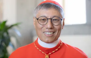 Cardinal Stephen Chow Sau-yan, SJ, archbishop of Hong Kong, China. Credit: Daniel Ibáñez