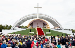 The 2018 World Meeting of Families in Dublin, Ireland. Daniel Ibáñez/CNA.