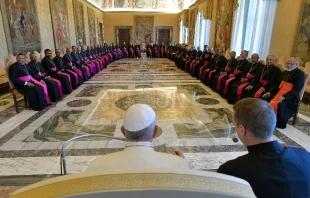 Pope Francis addresses bishops of the Syro-Malabar Catholic Church at the Vatican on Oct. 3, 2019. Vatican Media.