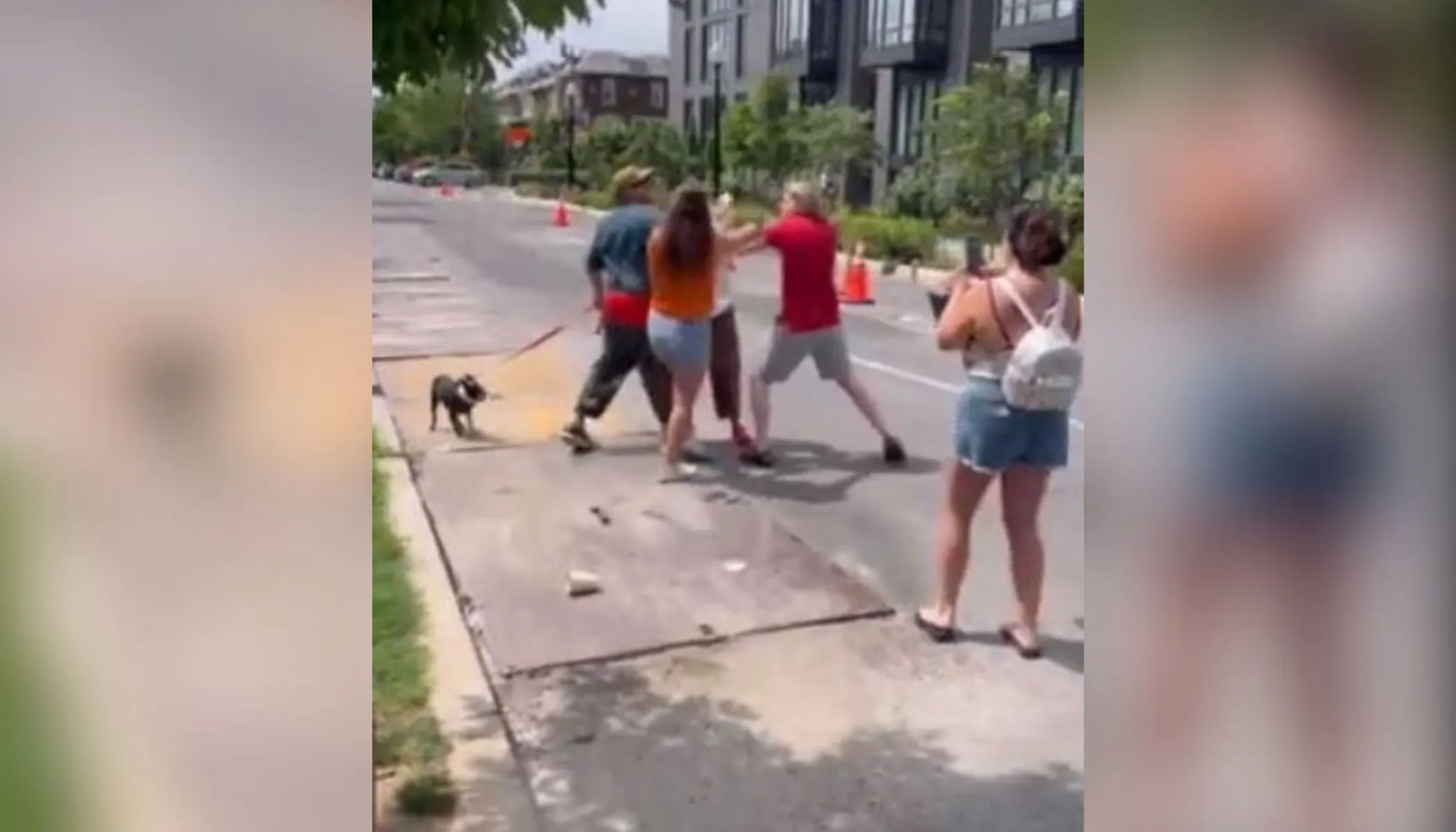 A male suspect grabs sidewalk counselor Mike Gribbin outside of a Washington, D.C., Planned Parenthood clinic July 22, 2023.?w=200&h=150