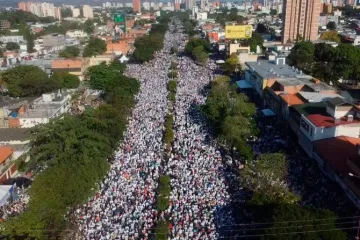 Divine Shepherdess Venezuela