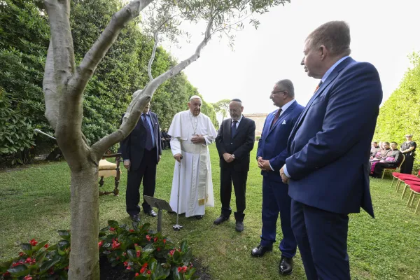 Pope Francis stopped in front of an olive tree with faith leaders, including Rabbi Alberto Funaro and Abdellah Redouane, secretary general of the Grand Mosque of Rome, during a prayer for peace in the Holy Land June 7, 2024. Pope Francis planted the olive tree in the Vatican Gardens with Ecumenical Patriarch Bartholomew I in 2014. Credit: Vatican Media.