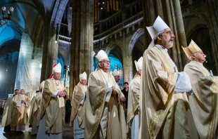 Four cardinals, 45 bishops, and 80 priests concelebrated Mass Feb. 8, 2023, under the high vaulted ceiling of Prague’s St. Vitus Cathedral with about 500 people in attendance. The Mass marked the midway point of the European Continental Assembly meeting in Prague Feb. 5-12, 2023. Credit: Lucie Horníková, Člověk a Víra