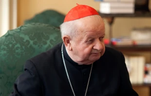 Cardinal Stanislaw Dziwisz in 2016. Shutterstock