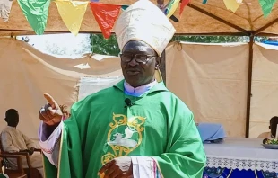 Bishop Yunan Tombe Trille Kuku of Sudan's El Obeid Diocese. Credit: CRN