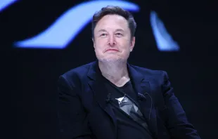 Elon Musk attends a session during the Cannes Lions International Festival Of Creativity 2024 on June 19, 2024 in Cannes, France. Credit: Marc Piasecki/Getty Images