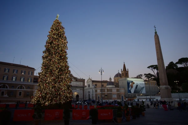 A Christmas tree is seen in St. Peter's Square, Vatican City, Wednesday, Dec. 18, 2024. Credit: Courtney Mares/CNA