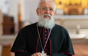 Bishop Gerhard Feige of Magdeburg in Germany. Credit: Magdeburg Diocese