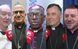 Left to right: Dominican Father Timothy Radcliffe, Archbishop Fernando Chomali, Archbishop Ignace Bessi Dogbo, Archbishop Rolandas Makrickas, and Bishop Mykola Bychok, CSsR, will be made cardinals in a consistory on Dec. 7, 2024. Credit: EWTN News; Marco Mancini/ACI Stampa