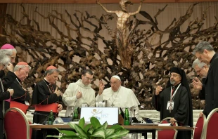 Pope Francis gives a blessing to participants at the conclusion of the Synod on Synodality at the Vatican, Oct. 26, 2024. Credit: Vatican Media