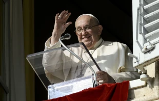 Pope Francis waves to pilgrims gathered in St. Peter's Square for his Angelus address on Nov. 10. 2024. Credit: Vatican Meda