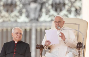 Pope Francis during the 500th general audience of his pontificate, held in St. Peter’s Square on Sept. 25, 2024, spoke about pornography and how to avoid the temptation to sin. Credit: Daniel Ibañez/CNA