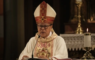 Archbishop Cardinal Ignatius Suharyo Hardjoatmodjo leads a Christmas Mass at Jakarta Cathedral in Jakarta on Dec. 25, 2023. Credit: YASUYOSHI CHIBA/AFP via Getty Images