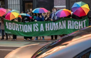 Pro-abortion activists gather in front of pro-life advocates outside of a Planned Parenthood clinic in downtown Manhattan on Feb. 3, 2024, in New York City. Credit: Spencer Platt/Getty Images