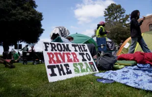 Pro-Palestinian demonstrators occupy an encampment on the campus of UCLA on April 25, 2024, in Los Angeles. Credit: Eric Thayer/Getty Images