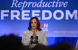 Vice President Kamala Harris speaks about Florida’s new six-week abortion ban on May 1, 2024, in Jacksonville, Florida. Harris has made abortion policy a central issue of her presidential campaign. Credit: Joe Raedle/Getty Images