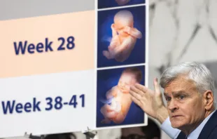 Ranking Member Sen. Bill Cassidy, R-Louisiana, speaks about the development of a preborn baby during a Senate Committee on Health hearing titled "The Assault on Women's Freedoms: How Abortion Bans Have Created a Health Care Nightmare Across America" on Capitol Hill on June 4, 2024, in Washington, D.C. Credit: Samuel Corum/Getty Images