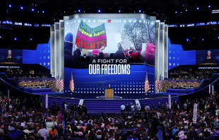 Former President of Planned Parenthood Cecile Richards speaks on stage during the third day of the Democratic National Convention on Aug. 21, 2024, at the United Center in Chicago. Credit: Chip Somodevilla/Getty Images