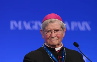 Paris Archbishop Laurent Ulrich, seen taking part in the International Meeting for Peace in Paris,on Sept. 22, 2024, condemned the firing of a Catholic school administrator accused of violating French laws prohibiting religious expression in educational settings.  Credit: THIBAULT CAMUS/POOL/AFP via Getty Images