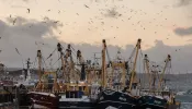 Fishing boats moored in Brixham harbor on March 2, 2016, in Devon, England.