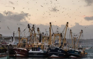 Fishing boats moored in Brixham harbor on March 2, 2016, in Devon, England. Credit: Matt Cardy/Getty Images