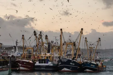 Fishing boats