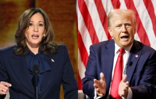 Democratic presidential candidate Vice President Kamala Harris and Republican presidential nominee Donald Trump. Credit: MANDEL NGAN/AFP via Getty Images; KAMIL KRZACZYNSKI/AFP via Getty Images