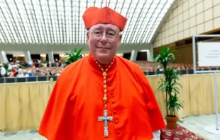 Cardinal Jean-Claude Hollerich, the relator general of the 16th Annual General Assembly of the Synod of Bishops. Credit: Daniel Ibáñez/CNA