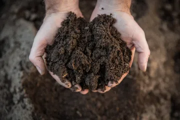 compost