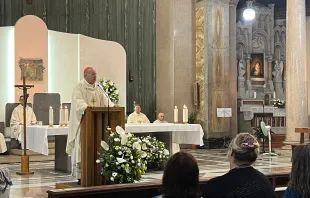 Cardinal Robert McElroy, bishop of San Diego, celebrates Mass at St. Patrick's Church in Rome Aug. 28, 2022. Credit: Hannah Brockhaus/CNA