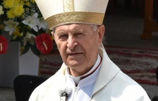 Cardinal Jozef Tomko in 2018 at a shrine on Mount Zvir, above the village of Litmanová, Slovakia. Sirocan69 via Wikimedia CC BY-SA 4.0