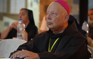 Bishop Hanna Jallouf, the apostolic vicar of Aleppo and head of the Latin Church in Syria, told ACI MENA “we pray for a new dawn in this country.” Credit: The Episcopal Committee for Consecrated Life in Syria