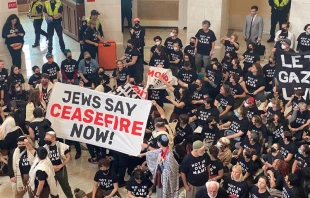 Thousands of mostly Jewish protestors from the progressive groups Jewish Voice for Peace and IfNotNow participated in a protest inside and outside the Cannon House Office Building, which is attached to the Capitol in Washington, D.C., on Oct. 18, 2023. Credit: Photos used with permission from Jewish Voice for Peace