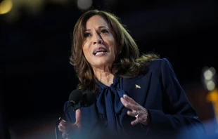 Democratic presidential candidate Vice President Kamala Harris arrives to speak on stage during the final day of the Democratic National Convention at the United Center on Aug. 22, 2024, in Chicago. Credit: Andrew Harnik/Getty Images