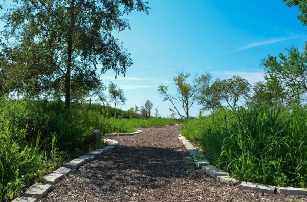 Staza na livadama St. Kateri, prirodnom dijelu groblja na groblju Svetog Mihaela Arkanđela u Nadbiskupiji Chicaga. Zasluge: Chicaška nadbiskupija