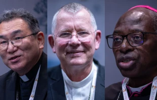 Cardinals-elect Archbishop Tarcisio Isao Kikuchi, SVD; Archbishop Jaime Spengler, OFM; and Archbishop Ignace Bessi Dogbohe discuss the contributions of the Church outside Europe during a Synod on Synodality press briefing on Oct. 8, 2024. Credit: Daniel Ibañez/CNA