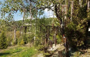 Memorial tree in Mayfouk, Lebanon, in remembrance of Christians killed in the Lebanese civil war. Credit: Ambassador Alberto Fernández/EWTN News