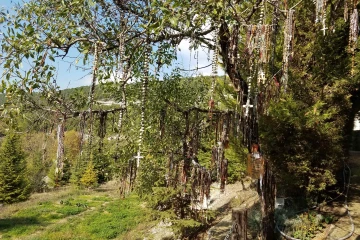 Memorial tree to victim of Lebanese civil war