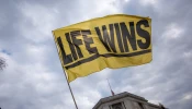 This "Life Wins" sign sums up the confidence marchers have in the ultimate triumph of their cause.