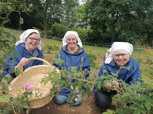 The Little Sisters, Disciples of the Lamb, at their garden of Damascus roses. The roses are used for aroma in skin care and cosmetic products.?w=200&h=150