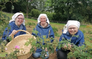 The Little Sisters, Disciples of the Lamb, at their garden of Damascus roses. The roses are used for aroma in skin care and cosmetic products. Credit: Community of the Little Sisters, Disciples of the Lamb