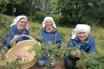 Community of the Little Sisters, Disciples of the Lamb