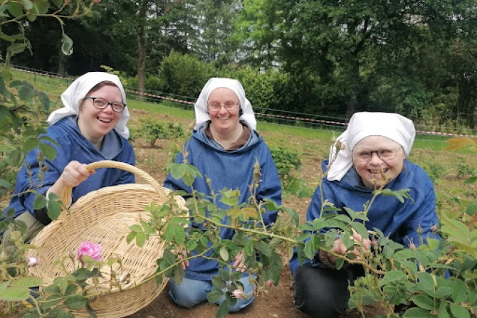 Community of the Little Sisters, Disciples of the Lamb