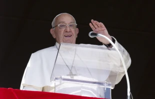 Pope Francis addresses the faithful during the Angelus address in St. Peter’s Square at the Vatican, Sunday, Oct. 13, 2024. Credit: Vatican Media