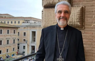 Bishop Luis Marín de San Martín is one of the key figures of the Synod on Synodality. Pope Francis appointed him its undersecretary. Credit: Courtesy of Bishop Marín